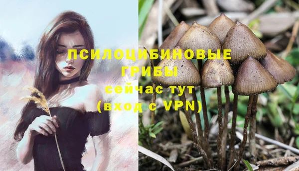 метадон Михайловка