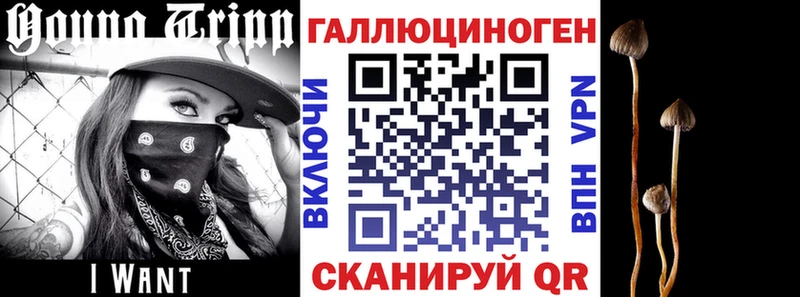 Псилоцибиновые грибы Psilocybine cubensis  закладки  Киселёвск 